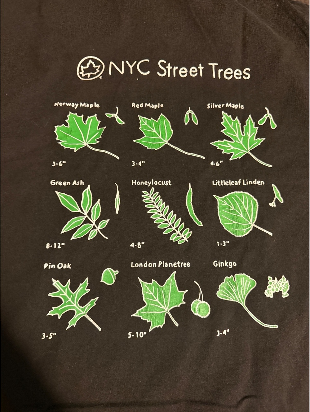 Only NY NYC Street Trees Graphic Tee Gray XL